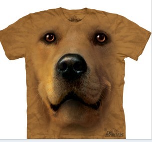 3DT���������Ƭ����2