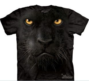 3DT���������Ƭ����3