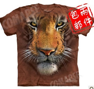 3DT���������Ƭ����1